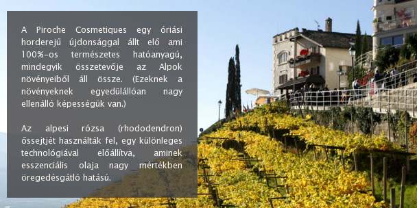 Regeneráló arckezelések Regeneráló arckezelések